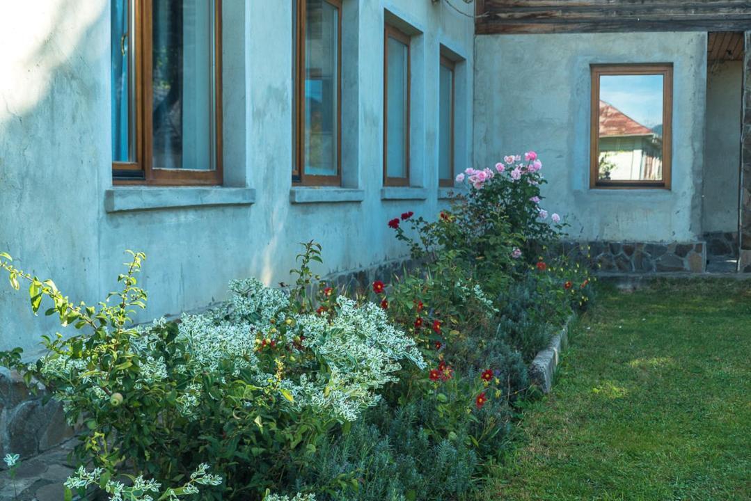 Старе Подвір'Я Verkhovyna Exterior photo